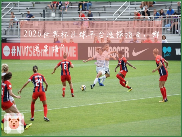 2026世界杯让球平台选择指南，哪个更靠谱？