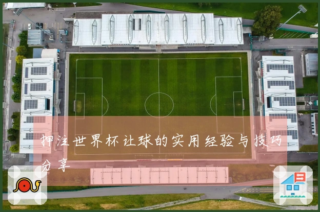 押注世界杯让球的实用经验与技巧分享