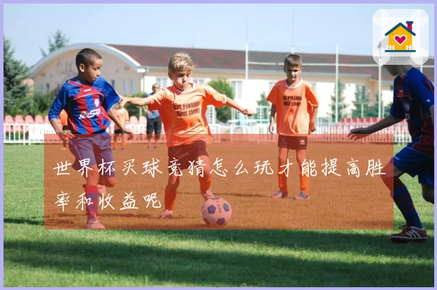 世界杯买球竞猜怎么玩才能提高胜率和收益呢
