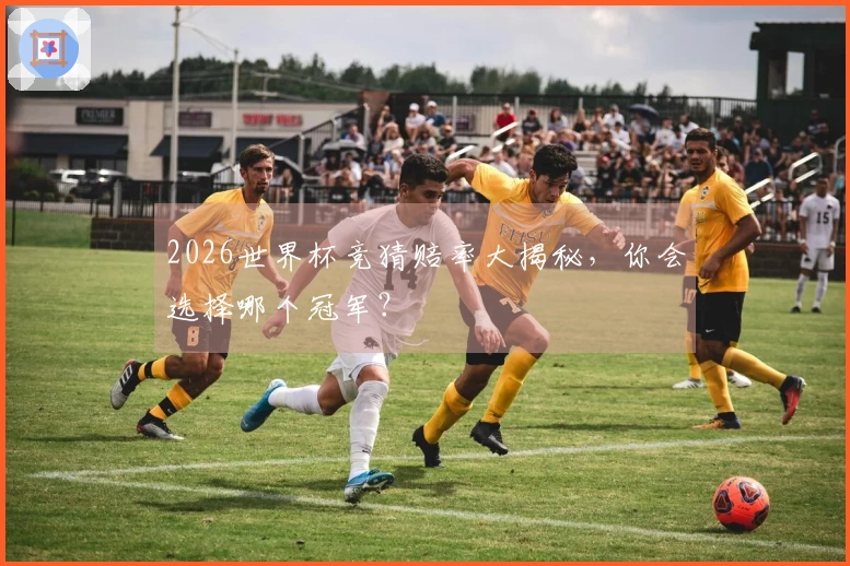 2026世界杯竞猜赔率大揭秘，你会选择哪个冠军？