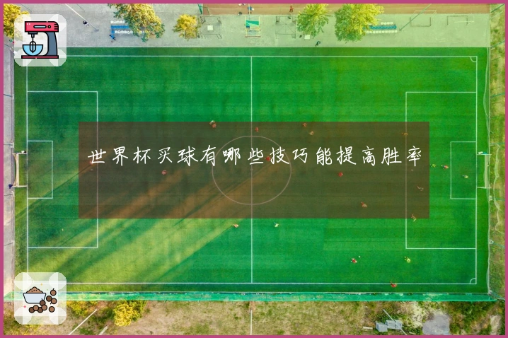 世界杯买球有哪些技巧能提高胜率