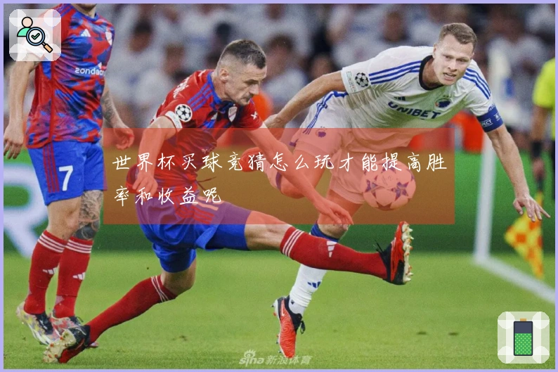 世界杯买球竞猜怎么玩才能提高胜率和收益呢