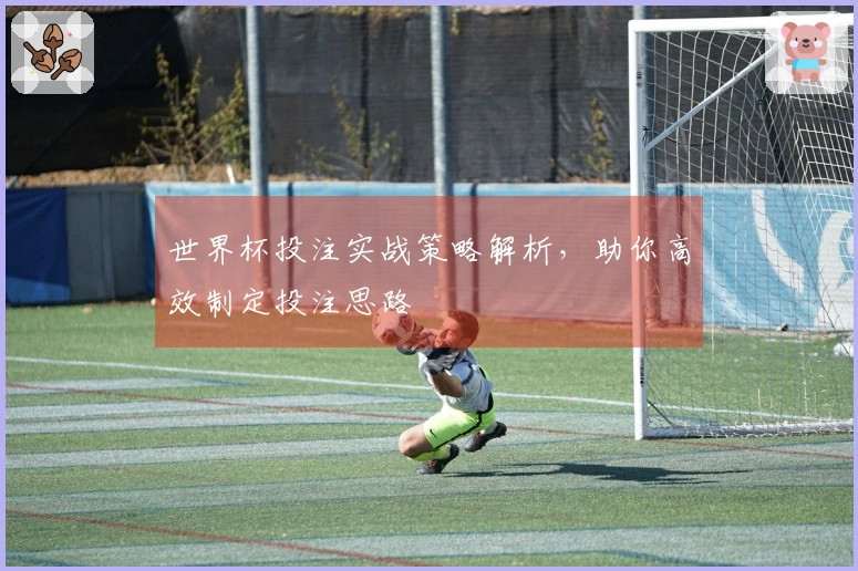 世界杯投注实战策略解析，助你高效制定投注思路