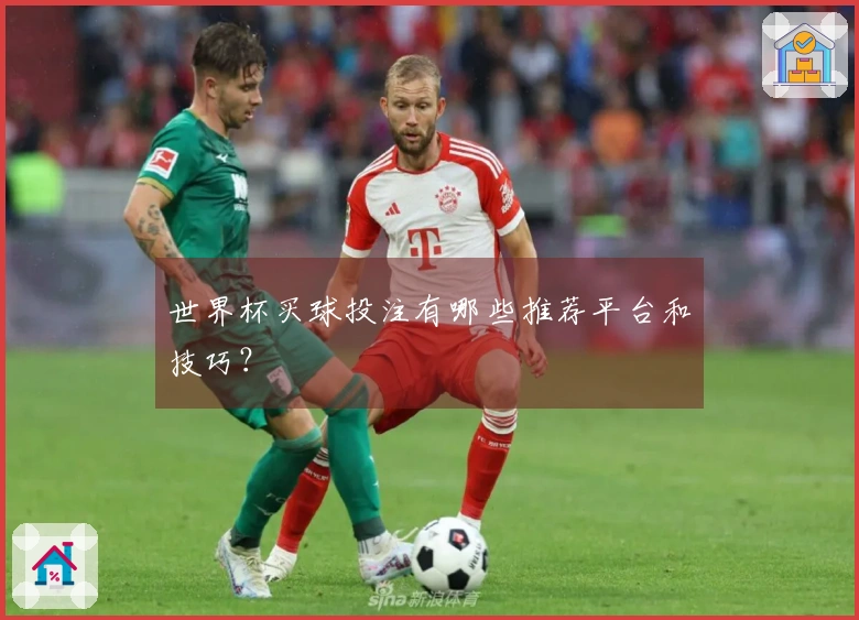 世界杯买球投注有哪些推荐平台和技巧？